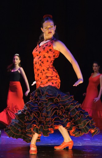 NIKON D700_28-300mm f_3.5-5.6 G VR_(S125-F4.8-ISO1600-FN)