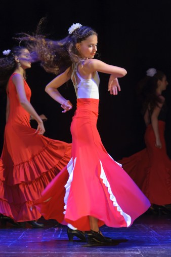 1/125 f/5.3 ISO2000 Flash No)