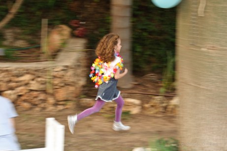 1/50, f/5.6, ISO1400, Flash OFF, Nikon D700, 28-300mm f/3.5-5.6 VR